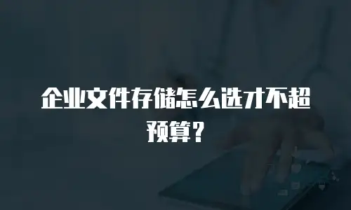 企业文件存储怎么选才不超预算？