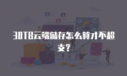 30TB云端储存怎么算才不超支？