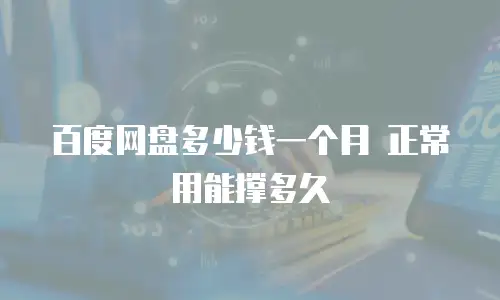 百度网盘多少钱一个月 正常用能撑多久