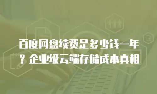 百度网盘续费是多少钱一年？企业级云端存储成本真相
