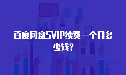 百度网盘SVIP续费一个月多少钱？