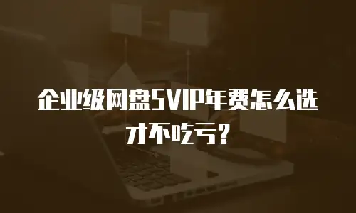 企业级网盘SVIP年费怎么选才不吃亏？