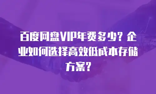 百度网盘VIP年费多少？企业如何选择高效低成本存储方案？