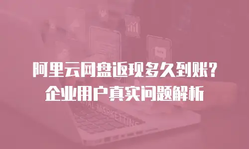 阿里云网盘返现多久到账？企业用户真实问题解析