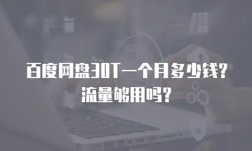 百度网盘30T一个月多少钱？流量够用吗？
