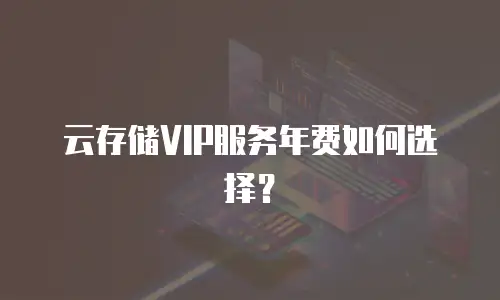 云存储VIP服务年费如何选择？