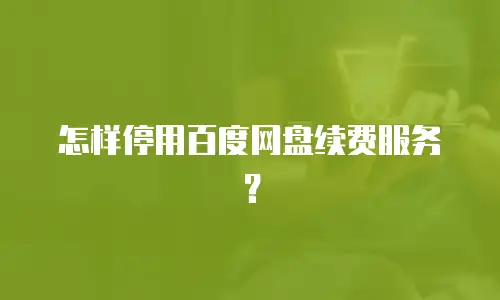 怎样停用百度网盘续费服务？