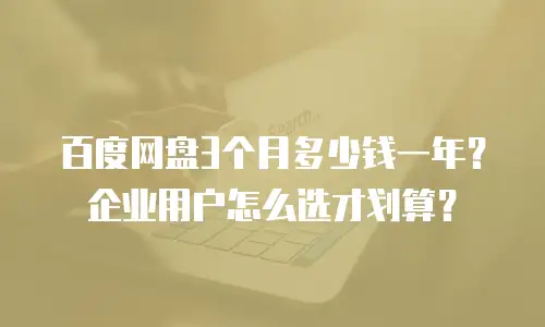 百度网盘3个月多少钱一年？企业用户怎么选才划算？