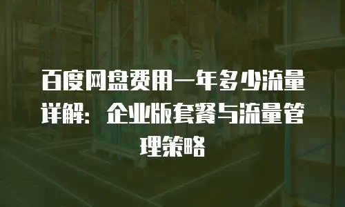 百度网盘费用一年多少流量详解：企业版套餐与流量管理策略