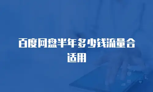 百度网盘半年多少钱流量合适用