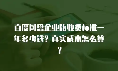 百度网盘企业版收费标准一年多少钱？真实成本怎么算？