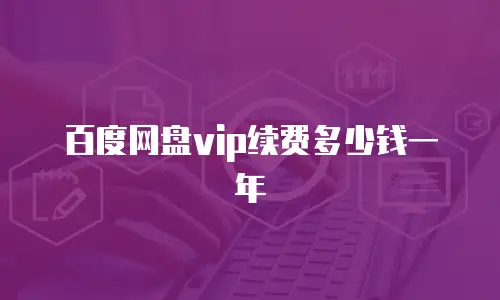 百度网盘vip续费多少钱一年