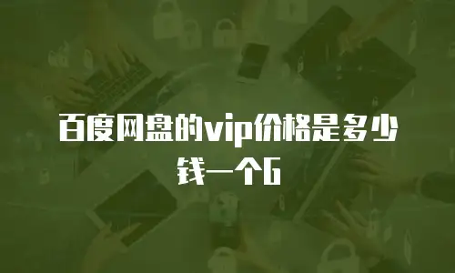 百度网盘的vip价格是多少钱一个G