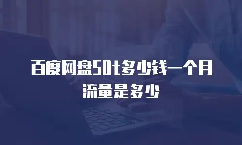 百度网盘50t多少钱一个月流量是多少