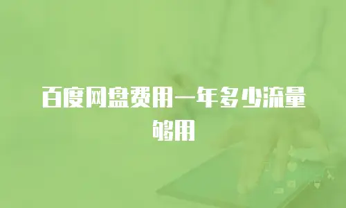 百度网盘费用一年多少流量够用