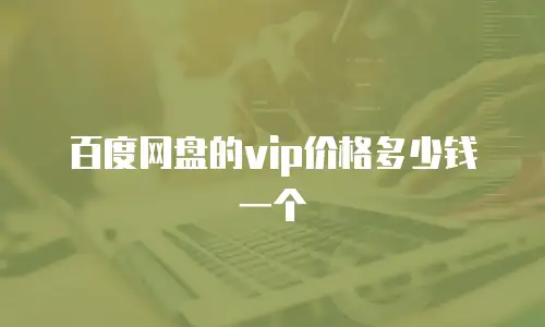 百度网盘的vip价格多少钱一个
