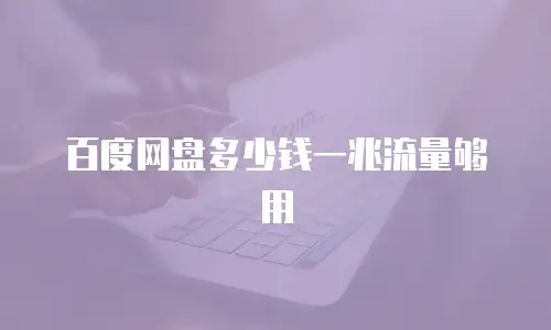 百度网盘多少钱一兆流量够用