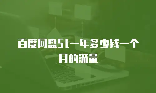 百度网盘5t一年多少钱一个月的流量
