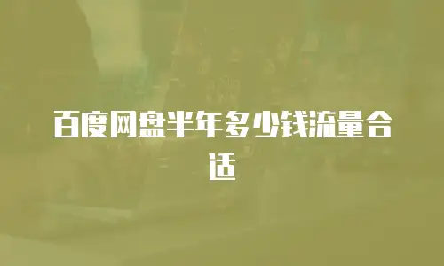 百度网盘半年多少钱流量合适