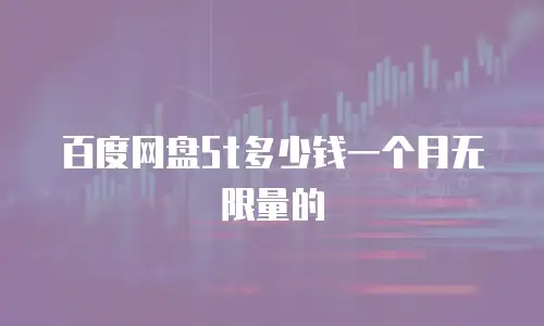 百度网盘5t多少钱一个月无限量的