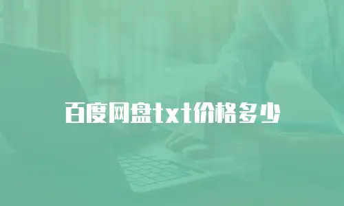 百度网盘txt价格多少
