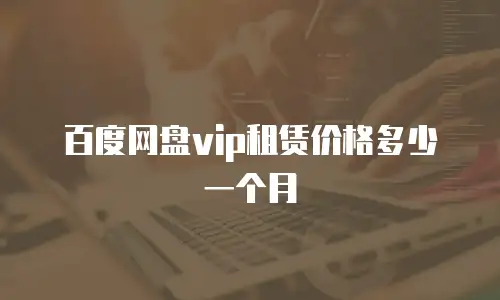 百度网盘vip租赁价格多少一个月