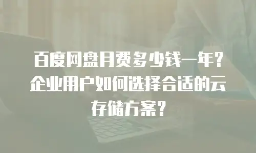 百度网盘月费多少钱一年？企业用户如何选择合适的云存储方案？