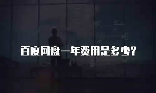 百度网盘一年费用是多少？