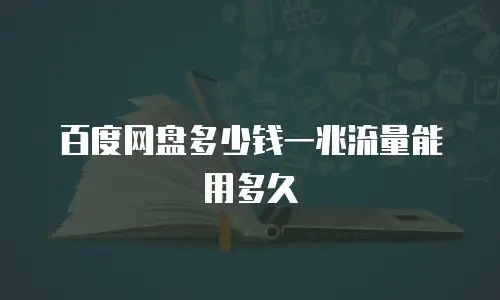 百度网盘多少钱一兆流量能用多久