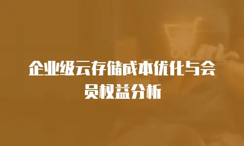 企业级云存储成本优化与会员权益分析