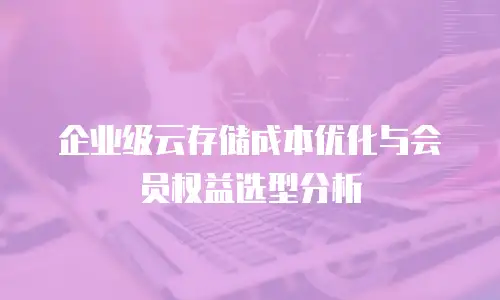 企业级云存储成本优化与会员权益选型分析