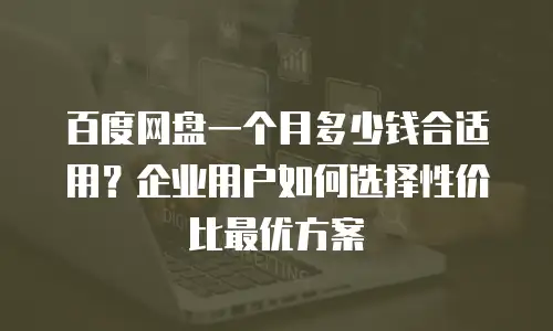 百度网盘一个月多少钱合适用？企业用户如何选择性价比最优方案