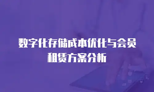 数字化存储成本优化与会员租赁方案分析