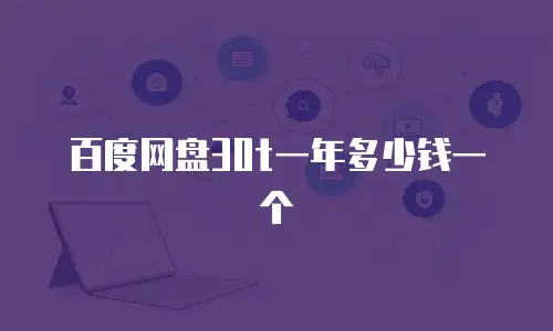 百度网盘30t一年多少钱一个