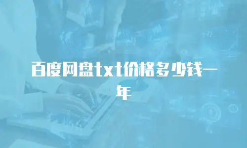 百度网盘txt价格多少钱一年