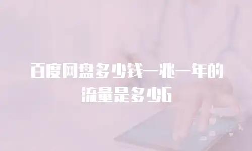 百度网盘多少钱一兆一年的流量是多少G