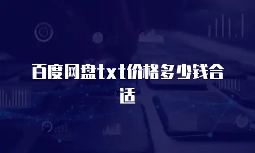 百度网盘txt价格多少钱合适