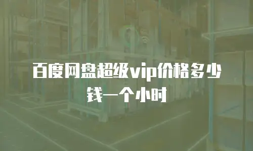 百度网盘超级vip价格多少钱一个小时