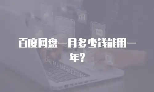 百度网盘一月多少钱能用一年？