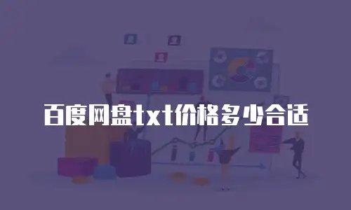 百度网盘txt价格多少合适