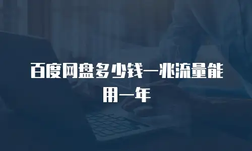 百度网盘多少钱一兆流量能用一年