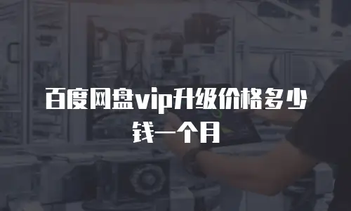 百度网盘vip升级价格多少钱一个月