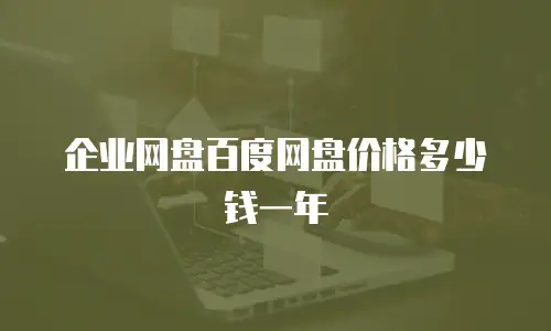 企业网盘百度网盘价格多少钱一年