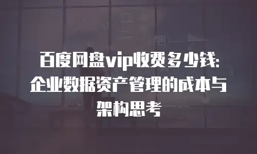 百度网盘vip收费多少钱：企业数据资产管理的成本与架构思考