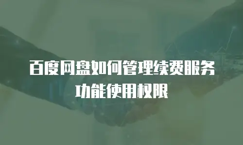 百度网盘如何管理续费服务功能使用权限