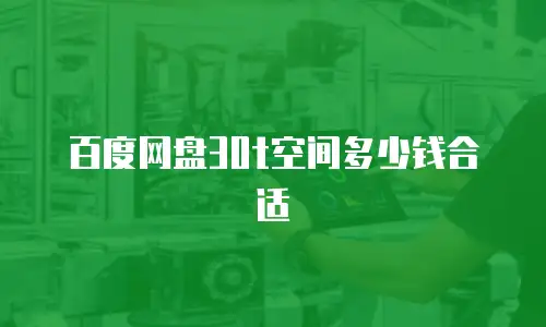 百度网盘30t空间多少钱合适
