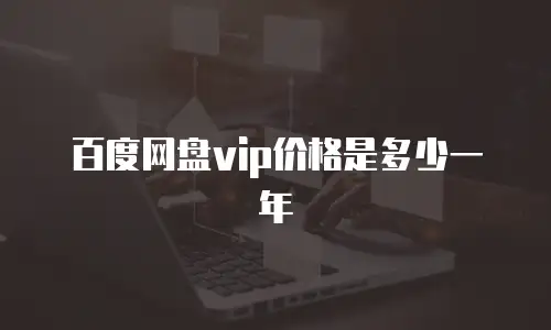 百度网盘vip价格是多少一年