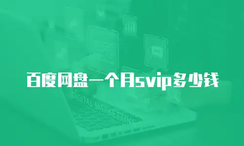 百度网盘一个月svip多少钱