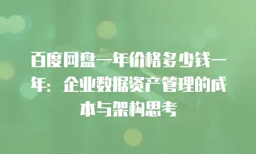 百度网盘一年价格多少钱一年：企业数据资产管理的成本与架构思考