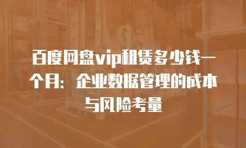 百度网盘vip租赁多少钱一个月：企业数据管理的成本与风险考量